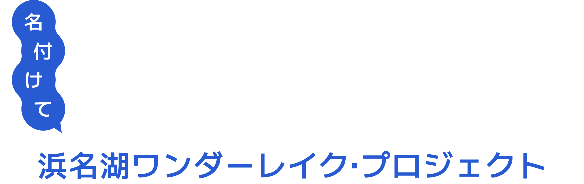 浜名湖ワンダーレイク・プロジェクト